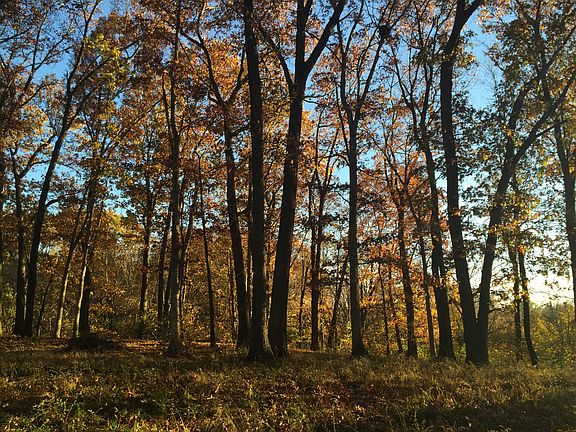 3rd image of Lot 31 Stoney Creek Subdivision