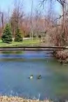 1st image of 1147 N Egret Pl