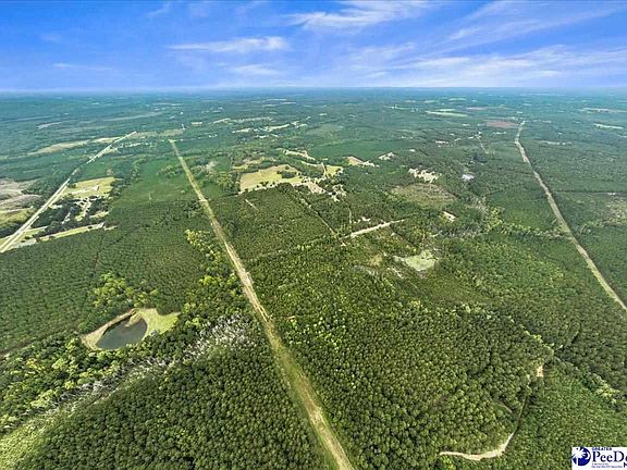 3rd image of McDuffie Ln