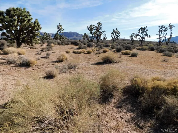 27166 N Apple Drive, Meadview, AZ 86444