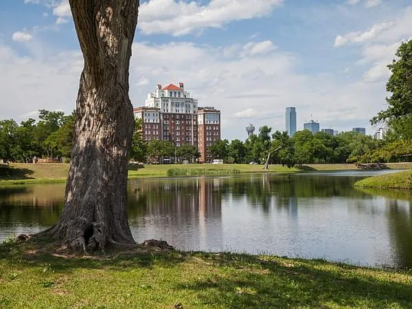 1 bed, 550 sqft, $1,125 — Photo 1