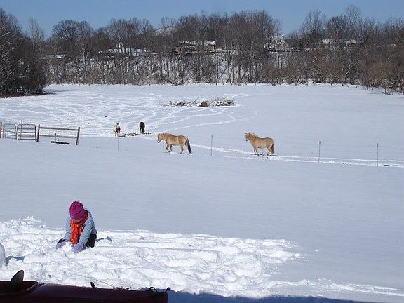view from porch, snowy