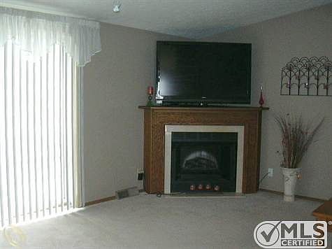 Electric Fireplace