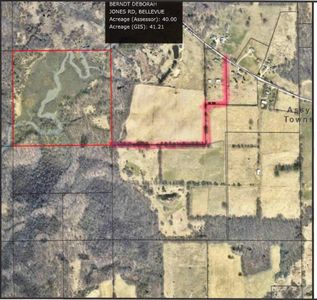 Approx Jones Rd, Bellevue, MI, 49021