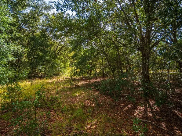 Locust Run Lot 4, Ocklawaha, FL 32179