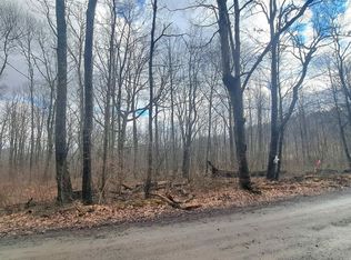 Glade Run Rd, Albright, WV 26519