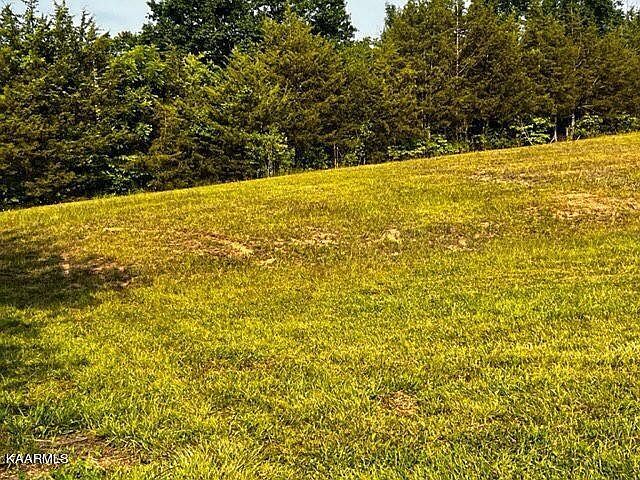 2nd image of Lonesome Pine Rd