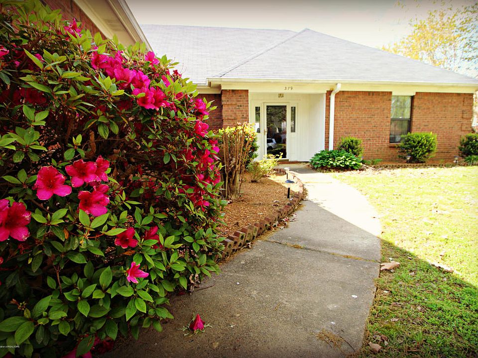 1st image of 379 Ann Marie Dr