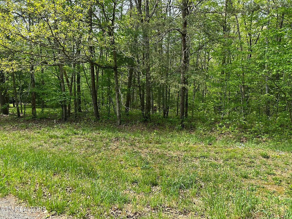 2nd image of 118 Tawny Oak Loop
