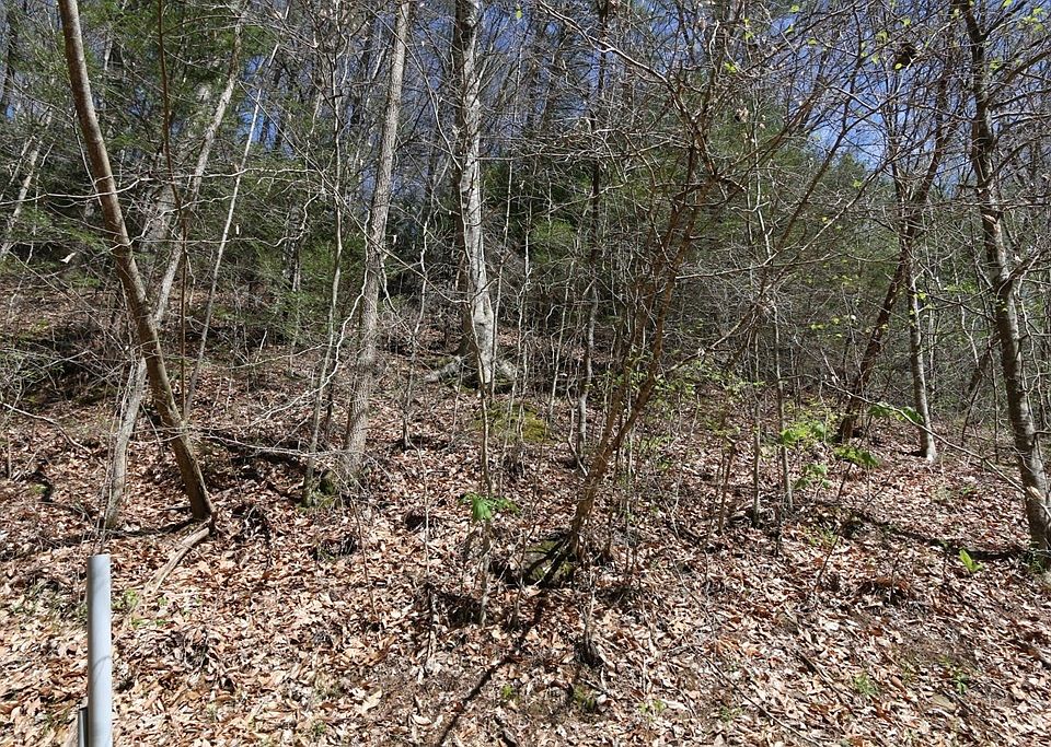2nd image of 7 Cabin Creek Way Lot 5