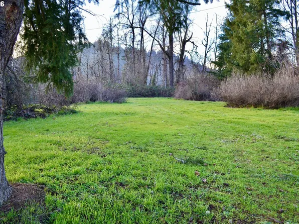 78412 Snauer Ln, Cottage Grove, OR 97424