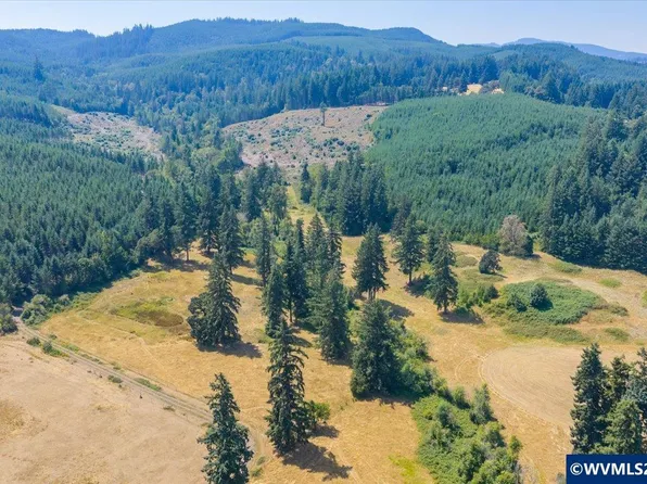 Tl 801 Upper Calapooia Dr, Sweet Home, OR 97386