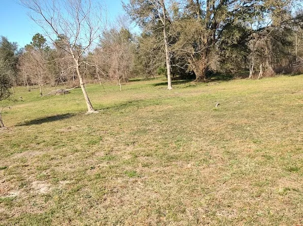 185 SE Reading Way, Lee, FL 32059
