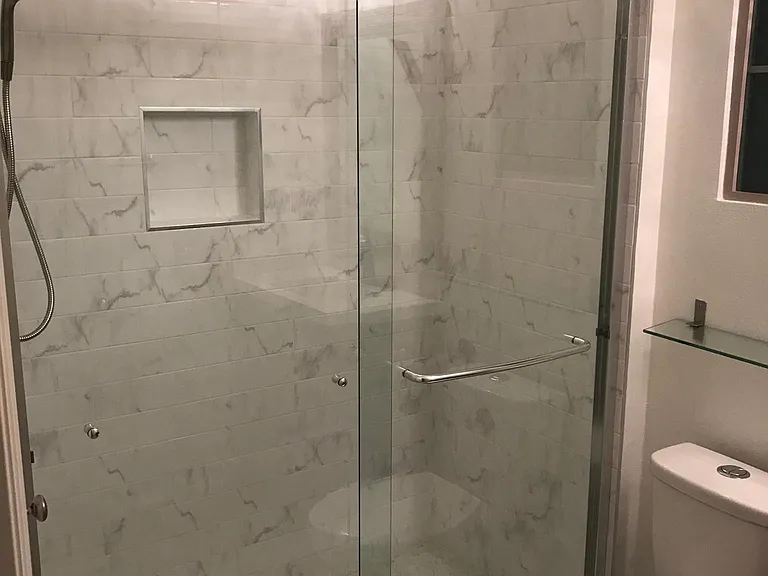 Walkin shower, new toilet