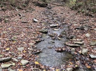 0 Parker Rd, Campbell, NY 14821