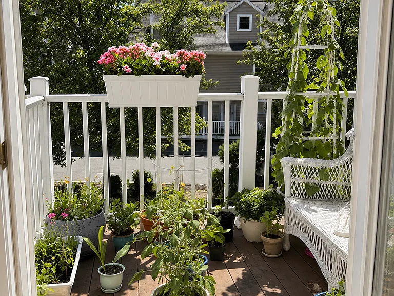 43 Leyden St #3 — Photo 11