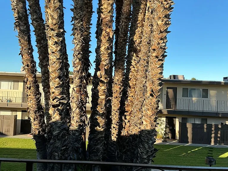 Casa Granada — Photo 27