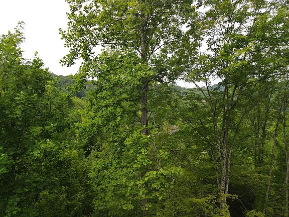 2nd image of 23 Stepping Stone Dr Lot 23