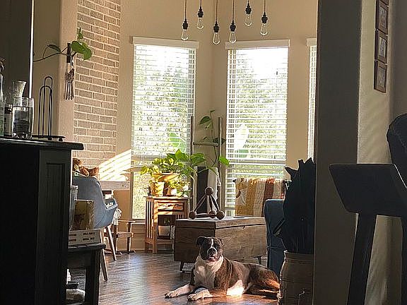 3 rooms with bay windows