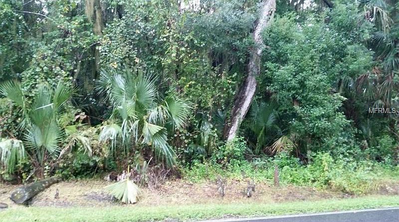 1st image of Paradise Dr
