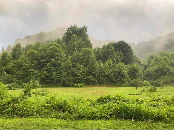 397 Miller Branch Rd, Bimble, KY 40915