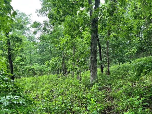 0 Little Cat Fork Rd, Louisa, KY 41230