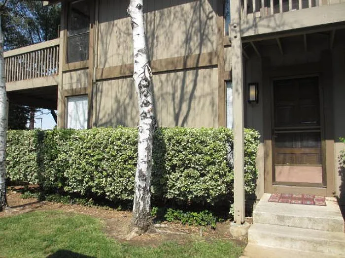 1544 Bailey Rd APT 7 photo 1