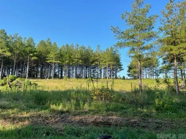 1 Round Mountain Rd #4, Conway, AR 72034