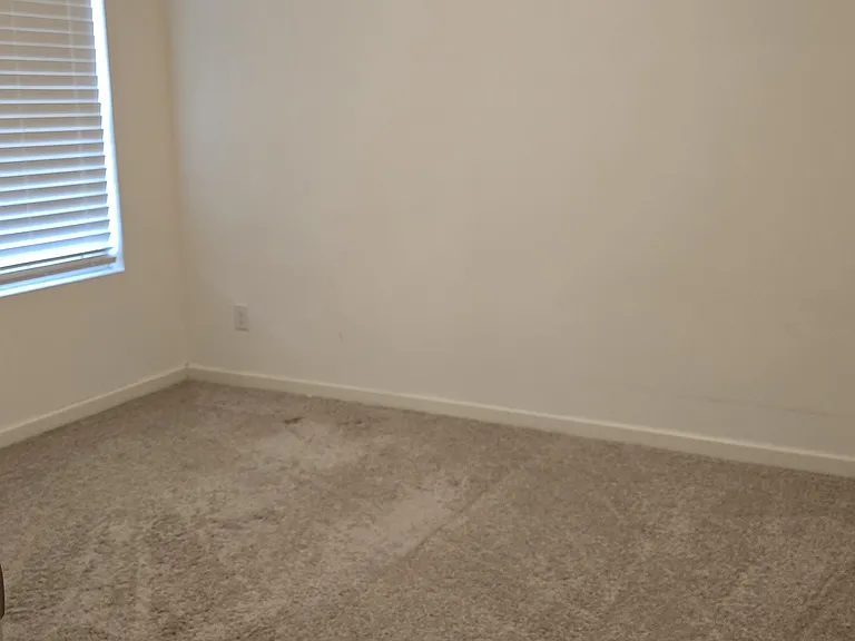 225 Firebrick Cir — Photo 7