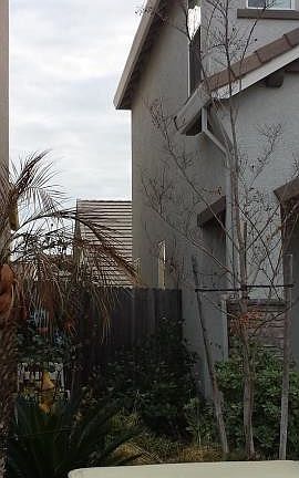 2nd image of 1193 Manza Cir