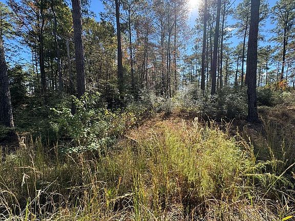 2nd image of LOT 57 Private Road 6028