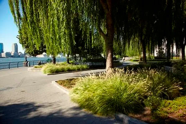 Rented by Town Residential | media 40