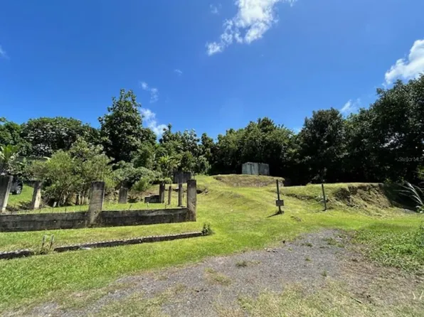 Bo. Maricao PR 677 KM 8.6, VEGA ALTA, PR 00692