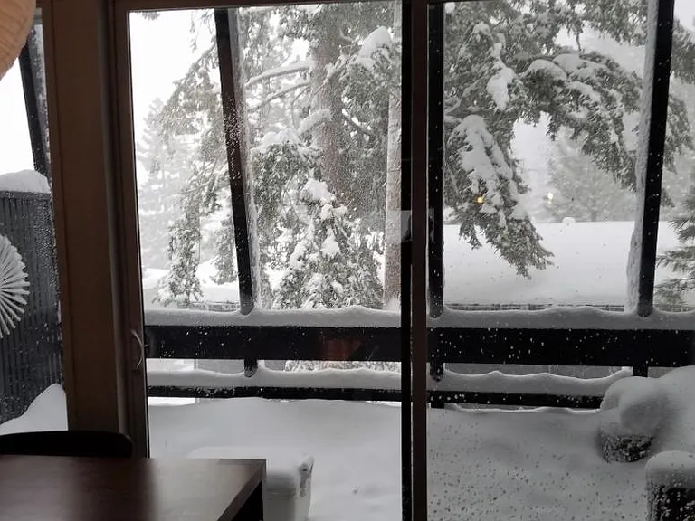 Tyrol Ln — Photo 17
