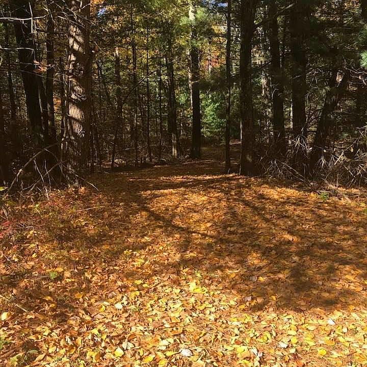 1st image of Juniper Dr