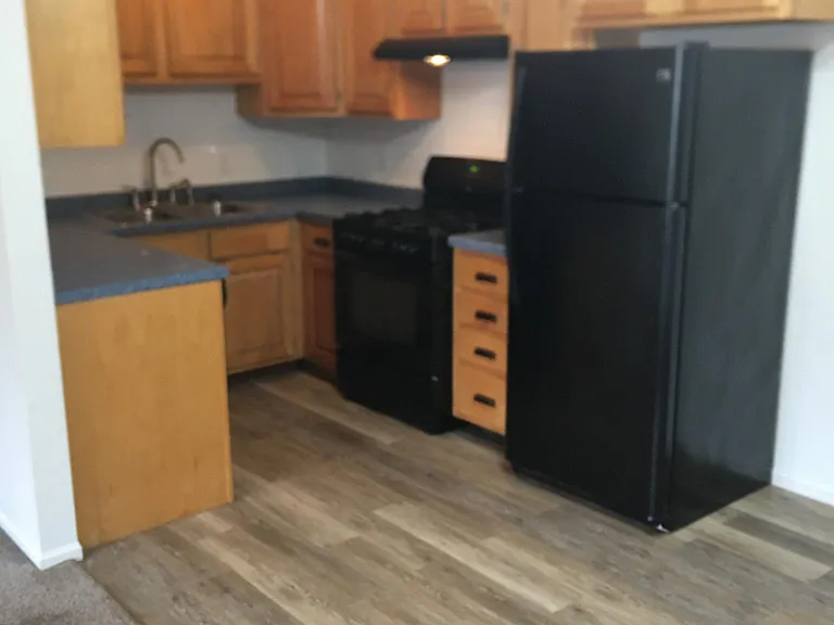 249 Magnolia Dr — Photo 3