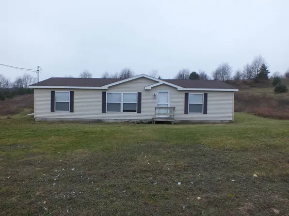 8596 Essex Rd, Ellsworth, MI 49729