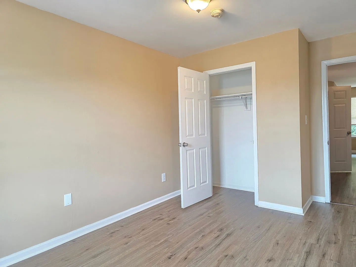 Freshly Painted 2-Bedroom Apartment in Wilmington — Photo 3