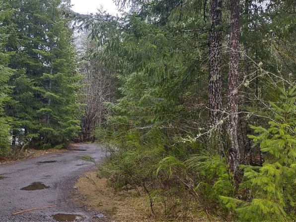 464 -466 Cannon Road, Packwood, WA 98361