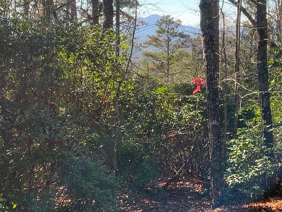 3rd image of 40 Nantahala Ln