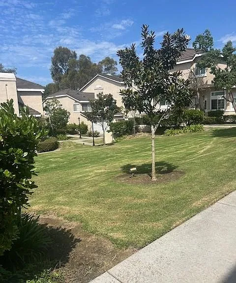 2300 Maple Ave #16 — Photo 4