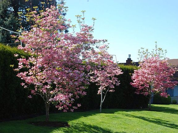 SPRING TIME @ WESTBROOK