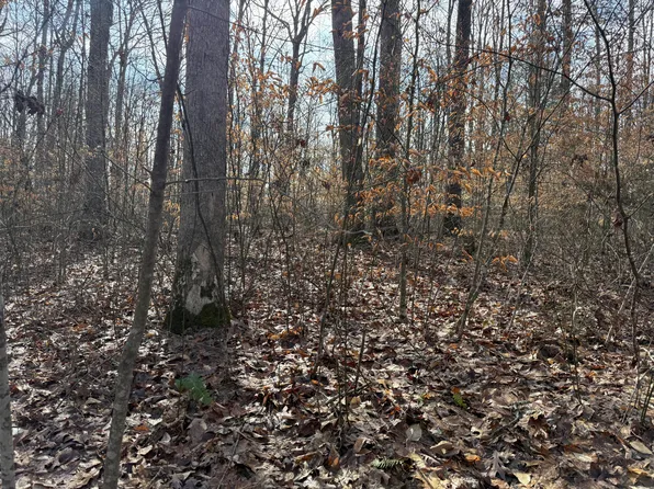 8 Red Oak Rd, Fayetteville, WV 25840