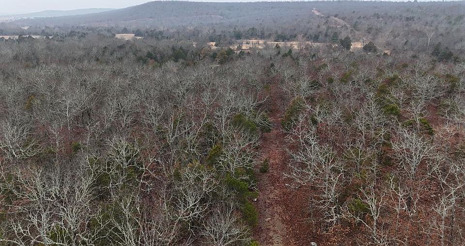 2nd image of 2 Berry Patch Rd