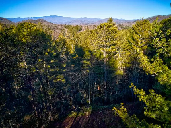 (undisclosed Address), Bryson City, NC 28713