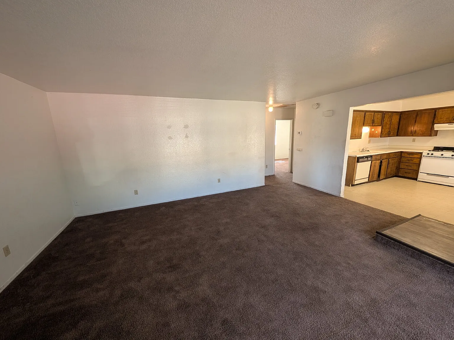 2 bed, 1.0 bath, 950 sqft, $1,100 — Photo 2