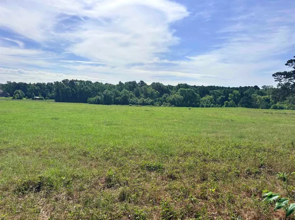 LOT 9 Fm 15, Troup, TX 75789