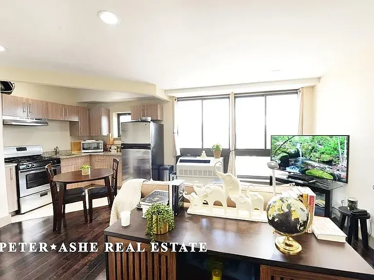203 E 121st St #1003 — Photo 2