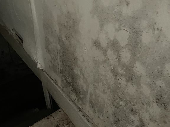 3rd image of 1005 11th St