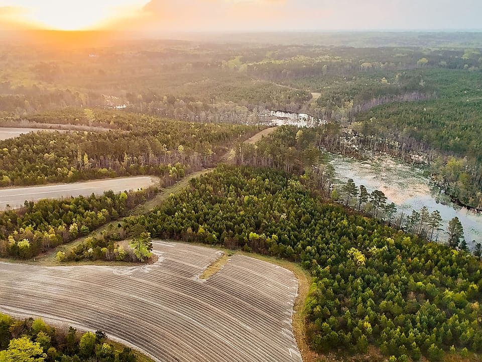 Dji Fly 20260403 071018 0496 1775216789168 Photo